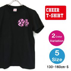 cht0110