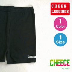 chp20801