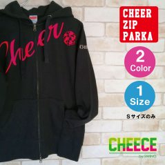 cho21003
